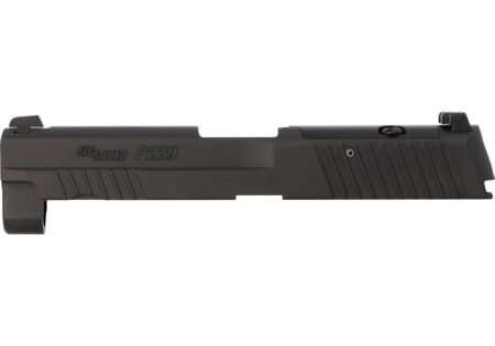 P229 Optic Ready slide